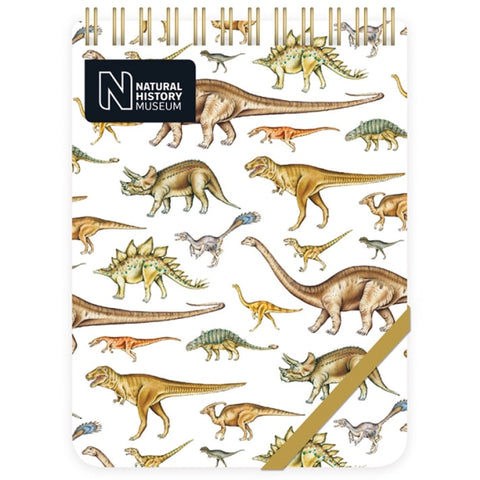 Dinosaurs Reporter Notebook