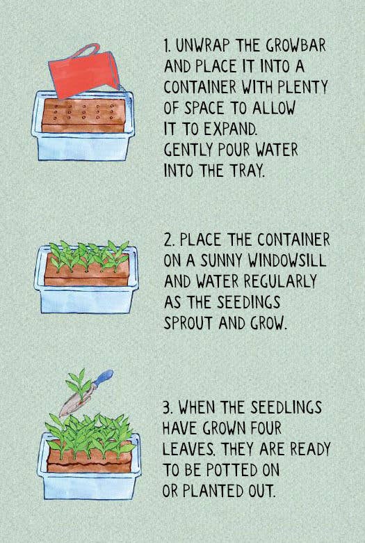 The Cocktail Growbar
