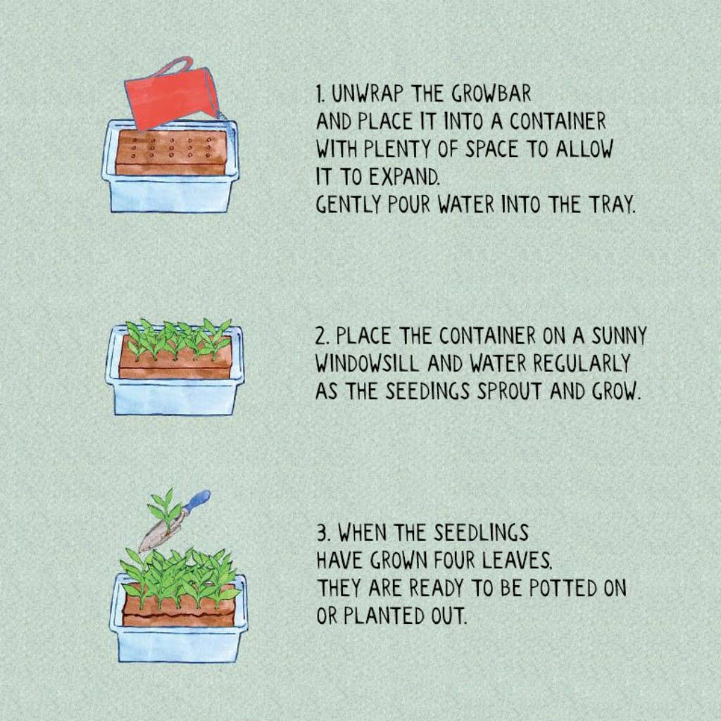 The Salad Growbar