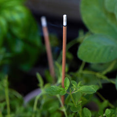 Garden Incense & Holder