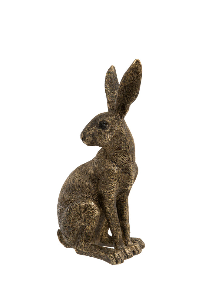 Small Sitting Hare