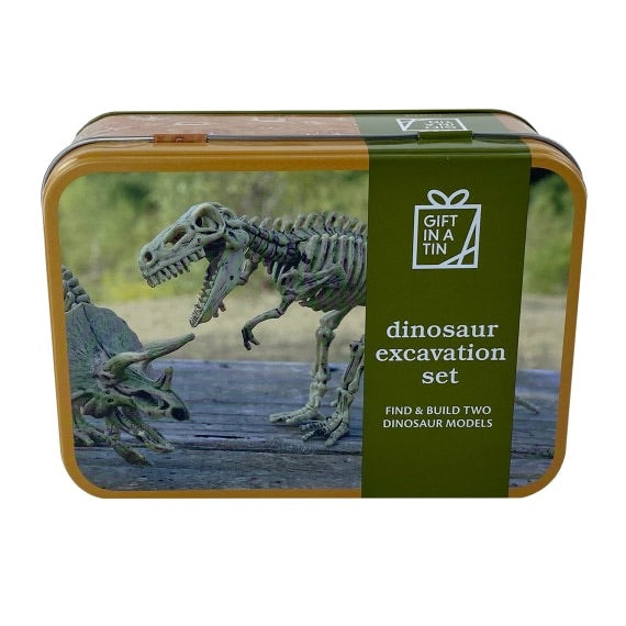 Dinosaur Excavation Kit