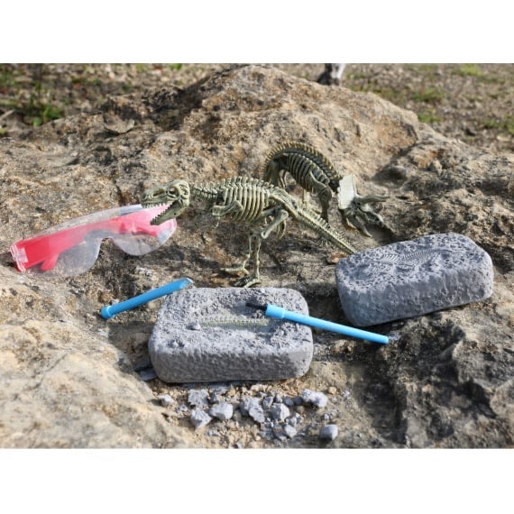 Dinosaur Excavation Kit