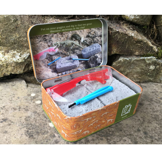 Dinosaur Excavation Kit