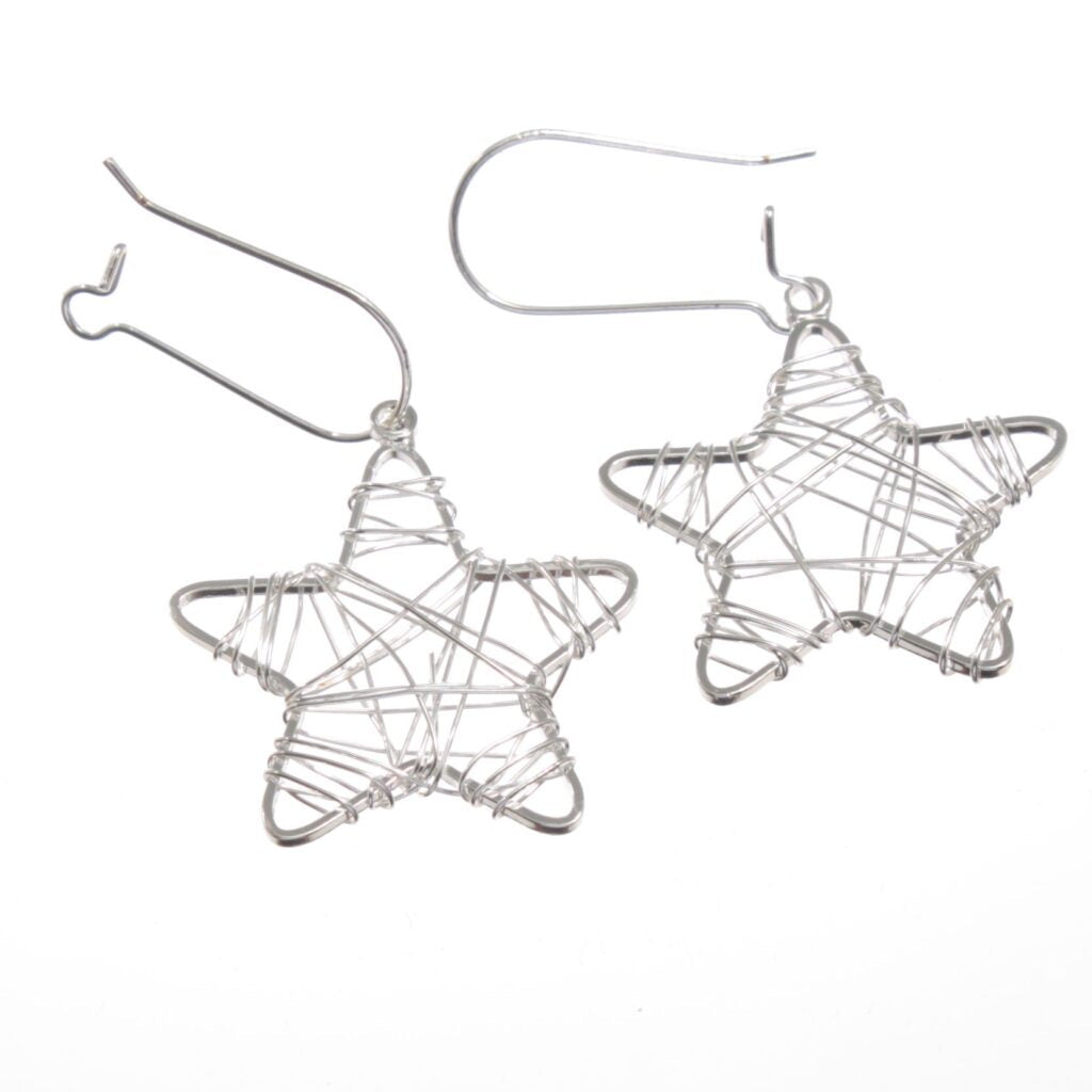 Earrings - Web Star Earrings