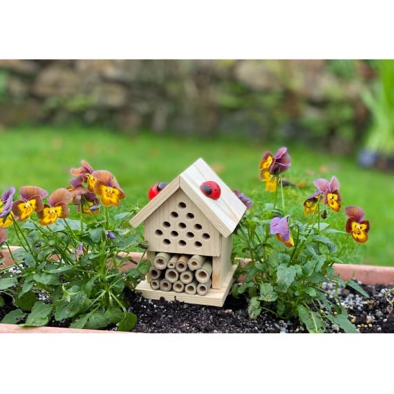 Make your own Insect House